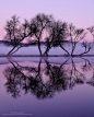 Twilight Reflections Photo by Michael Ryan - Pixdaus