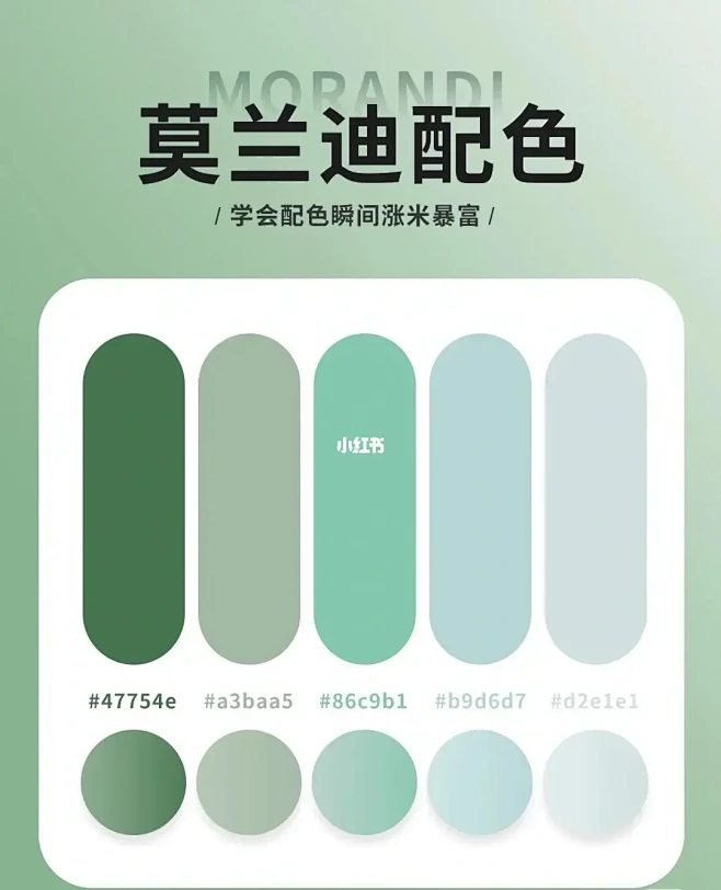 莫兰迪色系-花瓣网