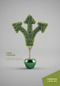 Capital Bank Green Financing Campaign : Green Financing Thematic Campaign