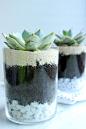 Layered Succulents for the bedside table, plus how to pot & care for cacti!: 