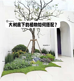 JackyWon采集到庭院景观