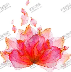 花素材 【酷图网】花素材,小清新花朵,花朵底纹,鲜花花朵素材,花朵,彩色,粉玫瑰,红玫瑰,矢车菊,勿忘我,桔梗,百合,风信子,郁金香,康乃馨,素材,装饰,真花,唯美,清新,花店装饰,百合花,花朵素材,底纹边框,花边花纹,植物花草,纺织印花,花卉