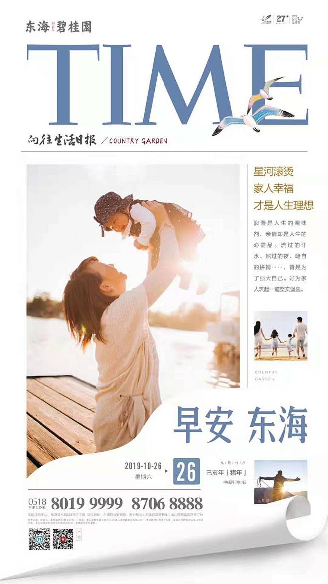 碧桂园 东海 早报板式