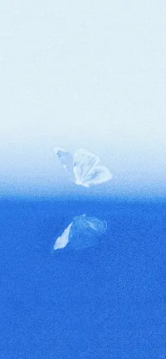   蓝调壁纸 - 小红书