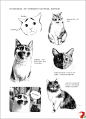 【正版图书】《画给喵星人的小素描》猫咪肖像画-淘宝网