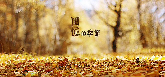 秋天,黄色背景,落叶,枯叶,枯枝,深秋,...