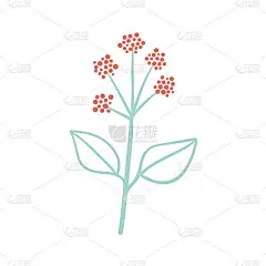 单手画的带花的树枝。涂鸦向量。孤立的