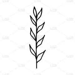 白色背景上可爱的小树枝。矢量手绘插图在涂鸦风格。弹簧设计元素。适合做卡片、装饰品。印刷在纸张，织物，
