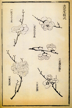 Janey-小妍采集到传统纹样