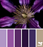 Color Flora | Design Seeds : { color flora } image via: @traceylbolton