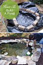 How to Build a Pond; Easily, Cheaply and Beautifully