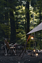 在森林里露营