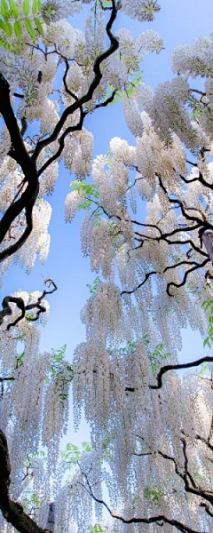 花店不开了❀采集到旅行照片