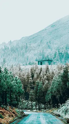 〈绿色壁纸〉墨已入水渡一池青花，揽五分红霞采竹回家