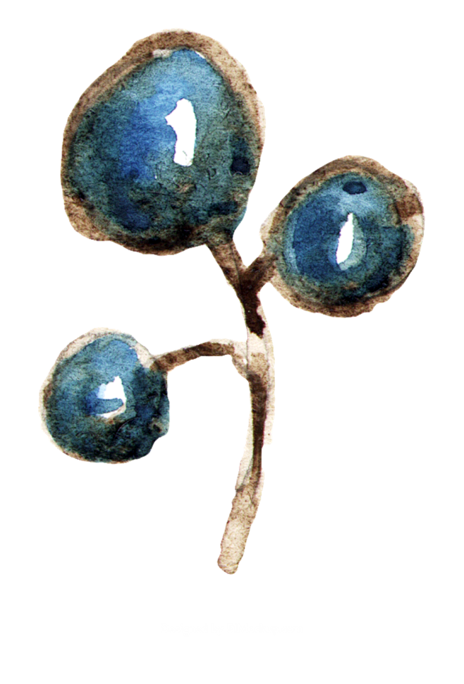 花环水彩质感 PNG花环素材 手绘花元素