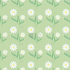 无缝背景上的雏菊绿色