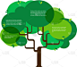 生态学，与树的概念设计的信息图