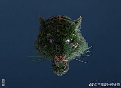 拉普花园采集到图形
