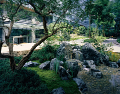 岁吟采集到七月合作社