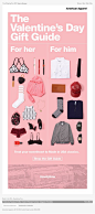 American Apparel Valentine's Day email: 