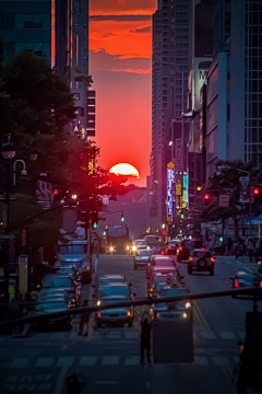 丨海绵宝哥丨采集到城市