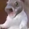 一瓶锅贴