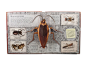 Bugs: A Stunning Pop-up Look at Insects, Spiders, and Other Creepy-Crawlies: McGavin, George, Kay, Jim: 9780763667627: Amazon.com: Books