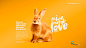 bird Cat copywriter dog Love Padovani Pet petshop rabbit retouch