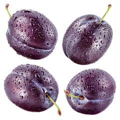 空白题采集到fruit