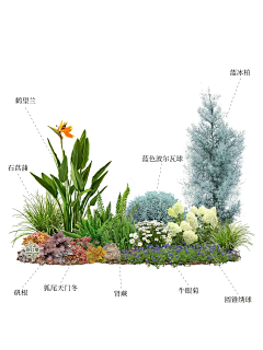 风满楼LY采集到植物配置立面
