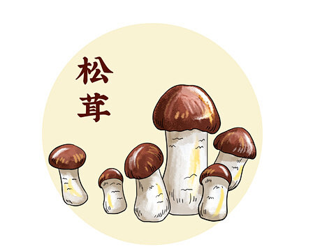 PSD 松茸插画
