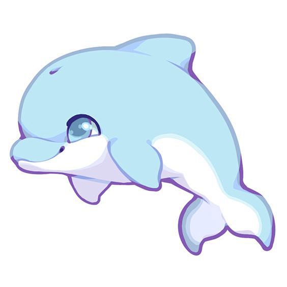  海豚