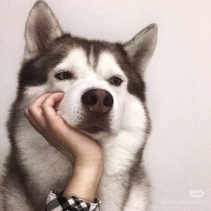 據說