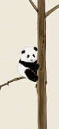 可爱熊猫插画壁纸，花花果赖-今日头条