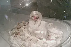 黑眼圈弟弟  的插画 毕设女主角