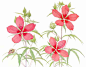 土屋聡 #水彩# 植物