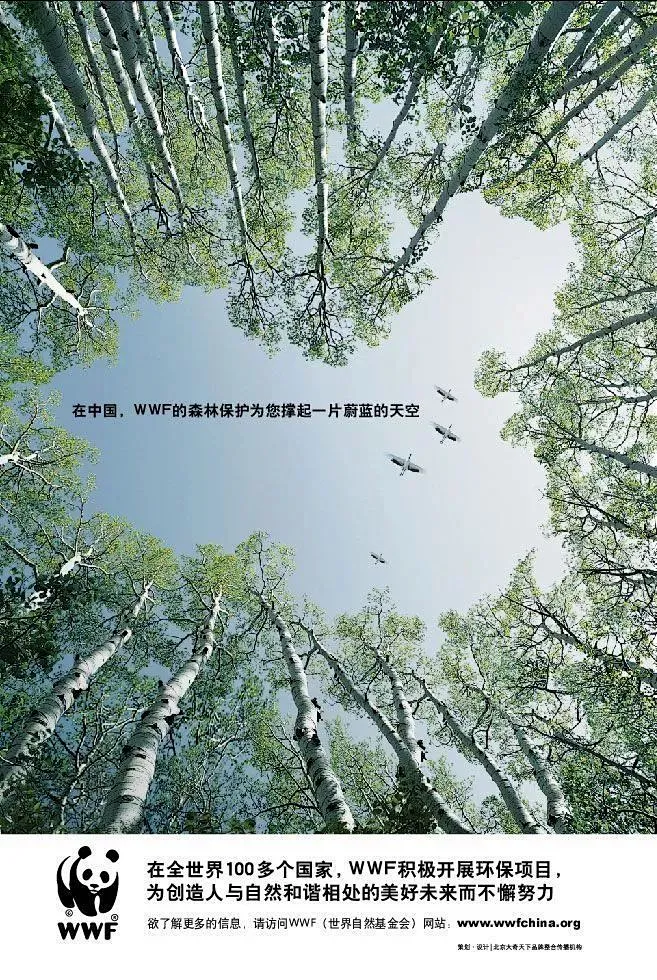 海报 | WWF公益平面-花瓣网