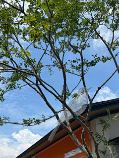 wwwwcyooo采集到【B】 标识系统