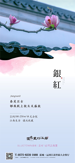 燕子小猪猪采集到平面