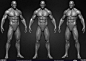 Muscular Male Anatomy Vol 01