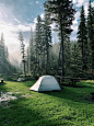 tent on field against trees in forest against sky in mist - camping tent  stock pictures, royalty-free photos & images