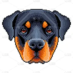 狗,罗威纳犬,分离着色,人的脸部,像素化,可爱的,部分,肖像,自然美,动物
