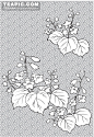 日本线稿花草图片#背景##素材##线描##植物##花卉##日本##艺术#