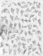 hands_BLOG.jpg 1,200×1,545 pixels | Milt Kahl