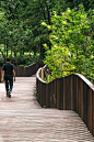 羽翼桥，曼谷 / Shma Company Limited : 连接城市景观与生态景观