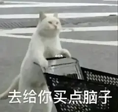 大学生找表情包