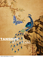 摄影师谭硕 美空 http://www.moko.cc/11studio