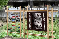 是瓶子啊采集到互动
