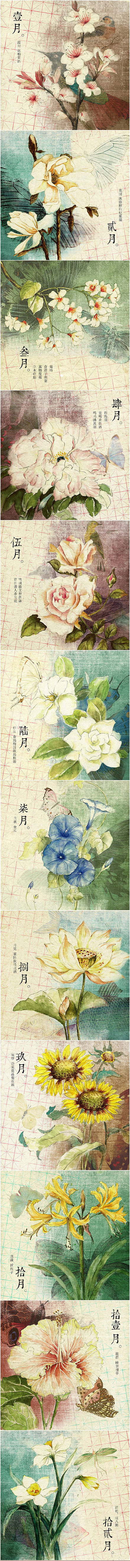 12月插画——岁月悠悠，繁花醉落