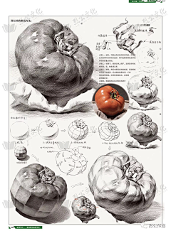 自学画画资源采集到各种石膏像丨素描用素材